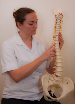 Model of the Spine for Explanation of Treatment